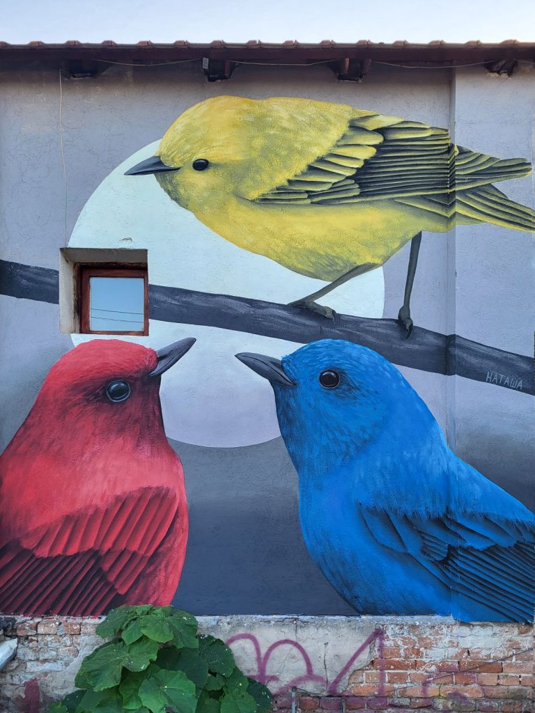 allgirlsgraffiti 2023