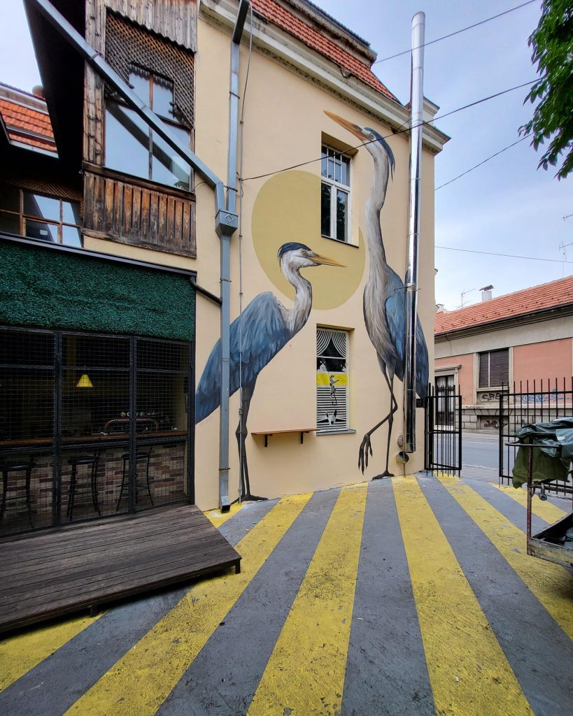Mural sa čapljama na fasadi Omladinskog centra u Zaječaru iz bočnog ugla